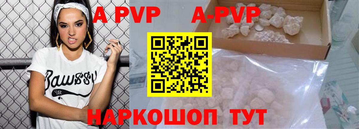 Альфа ПВП СК КРИС Воркута