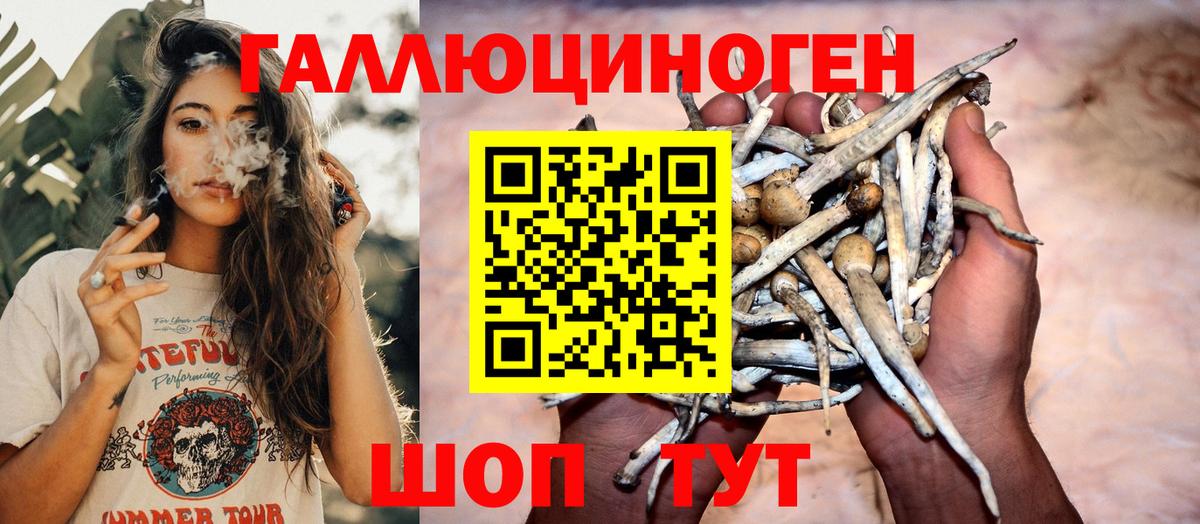 Воркута  Галлюциногенные грибы Psilocybe  Вход с VPN 
