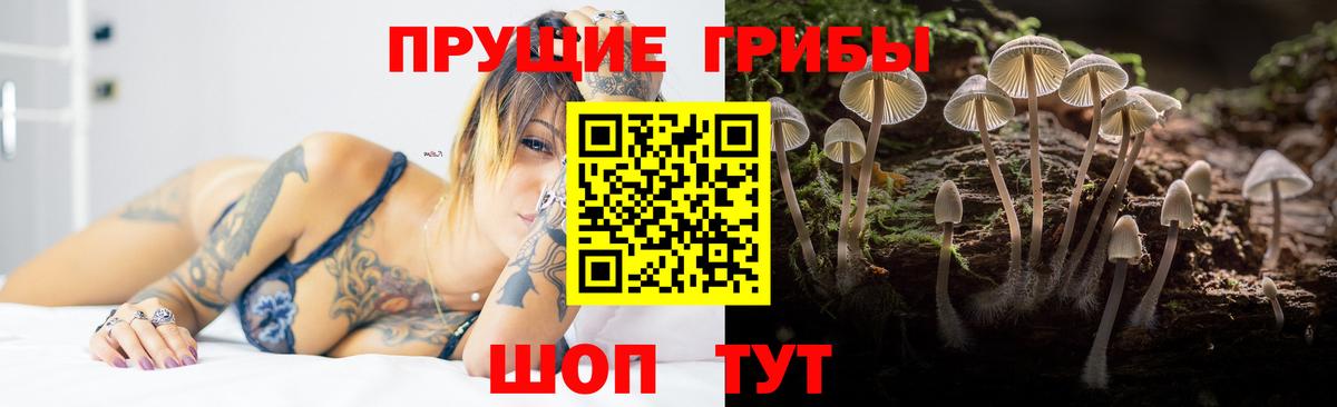 Галлюциногенные грибы Psilocybe Воркута